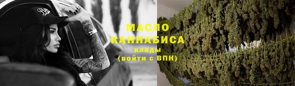 дживик Верхний Тагил