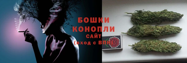 дживик Верхний Тагил