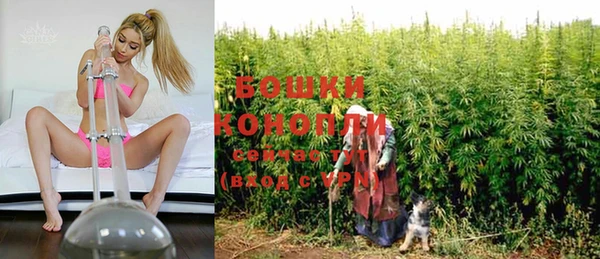 гидра Бугульма