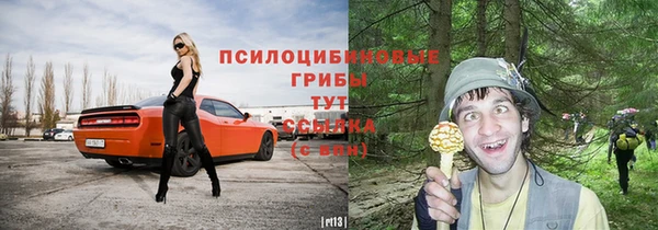 гидра Бугульма
