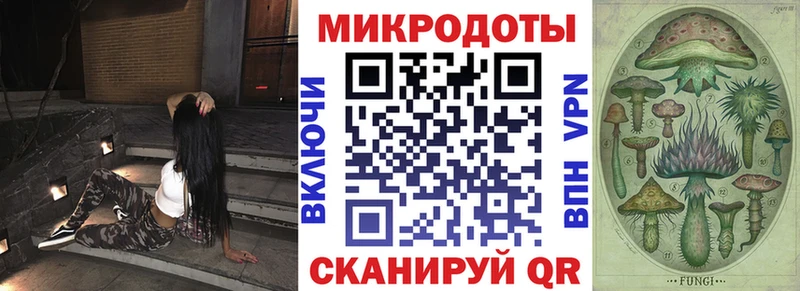 купить наркоту Йошкар-Ола Псилоцибиновые грибы Psilocybe